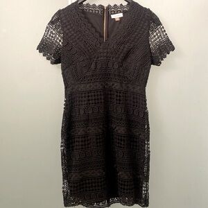 Calvin Klein black lace dress with gold back zipper